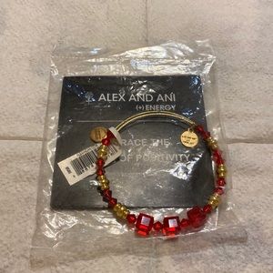 Alex and Ani Bracelet